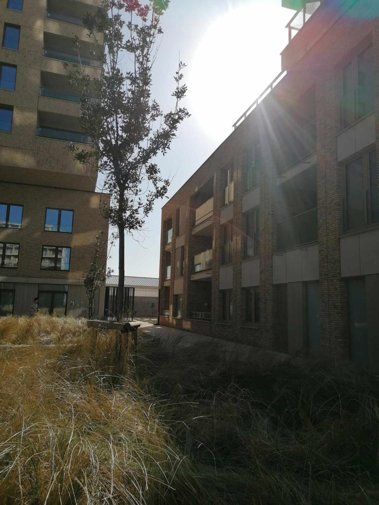 אוסטנדה Bartine - Modern And Spacious Flat Near The Sea, Free Parking Space מראה חיצוני תמונה